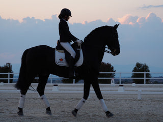 Lo que un caballo nota antes que tú